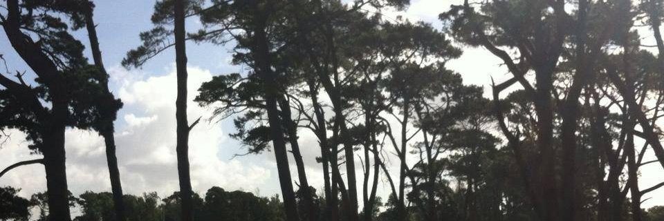 alexiamdh's profile banner image
