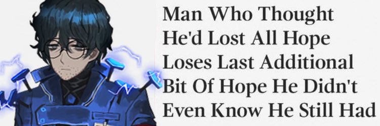 hohenheimofficemvp banner