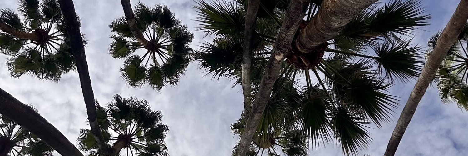 Flo 🇨🇭🇫🇷 banner