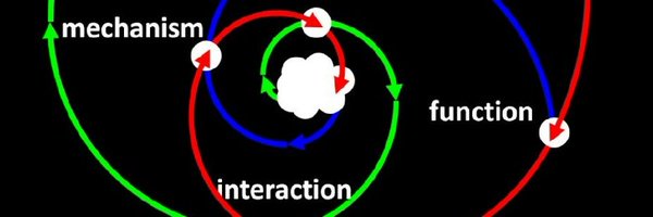 nosapience Profile Banner