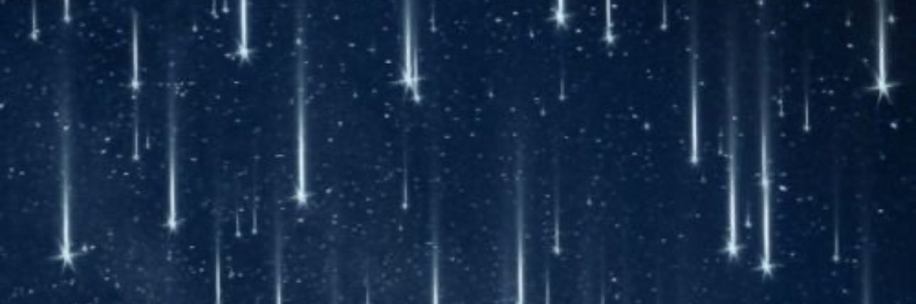 kellychickadee's profile banner image
