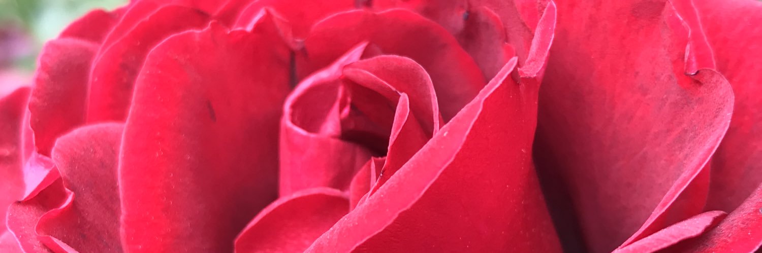 Normfollo's profile banner image