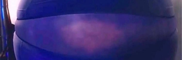 PlanetaryBerry banner