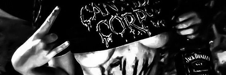 morvnz's profile banner image