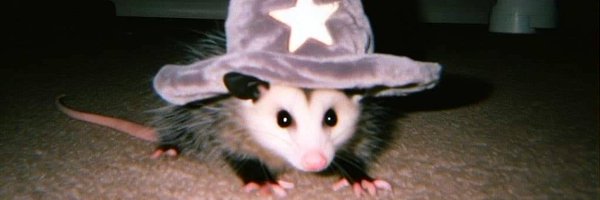 MystOpossum Profile Banner