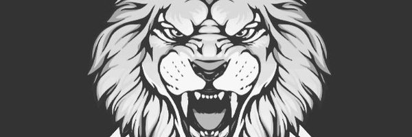 ShadySportsNet Profile Banner
