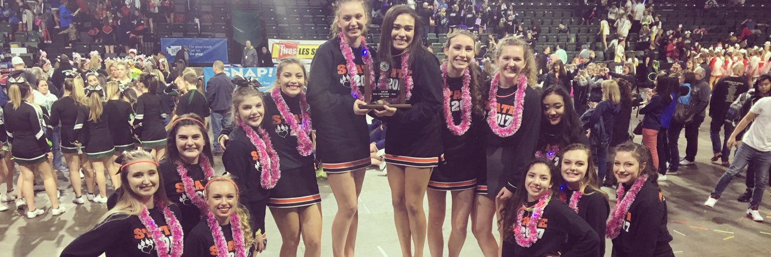 CKHSCheer's profile banner image