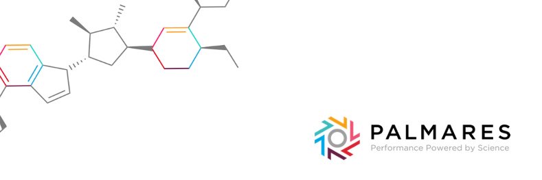 palmares's profile banner image
