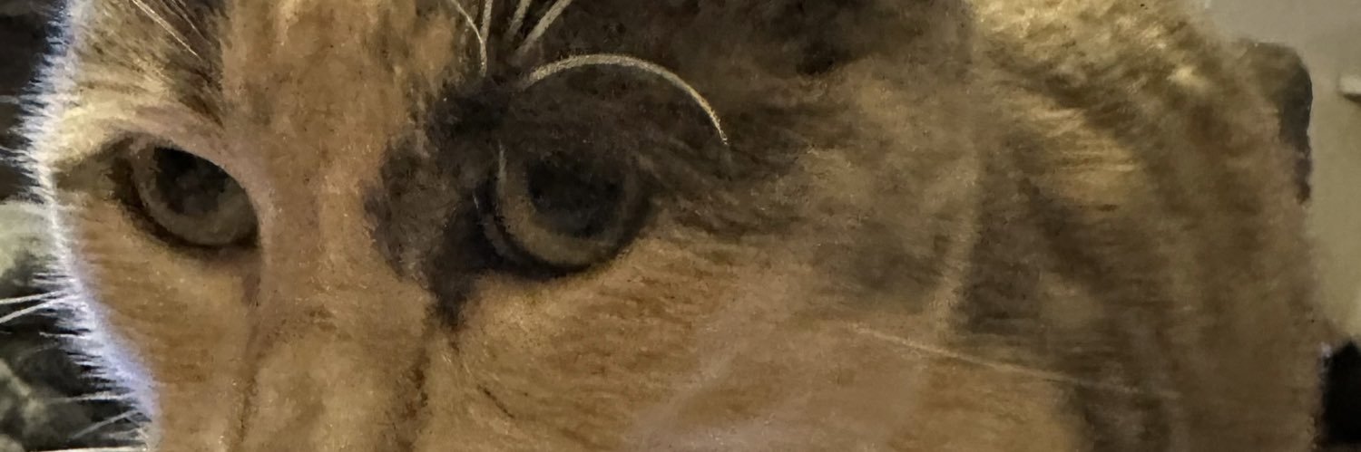 gorenrocks's profile banner image