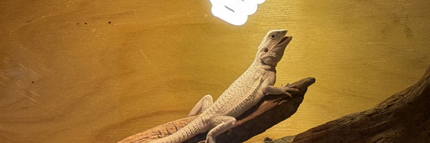 御調みつ🍯 banner