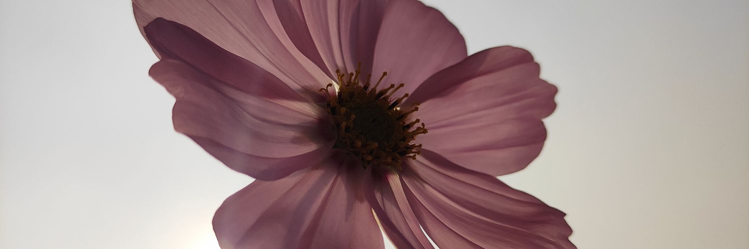 bivatif183's profile banner image