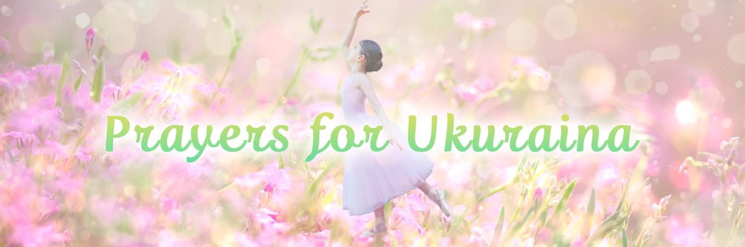 maokojil's profile banner image