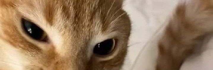 KlassVoid's profile banner image