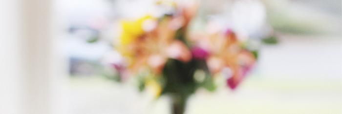 rachelchew's profile banner image