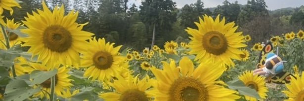 runagnbr's profile banner image
