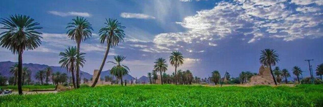 makhudair's profile banner image