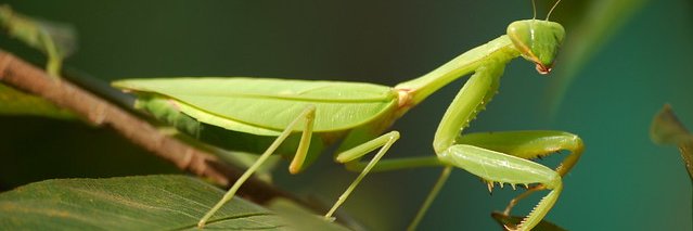 hữu bồ đội banner