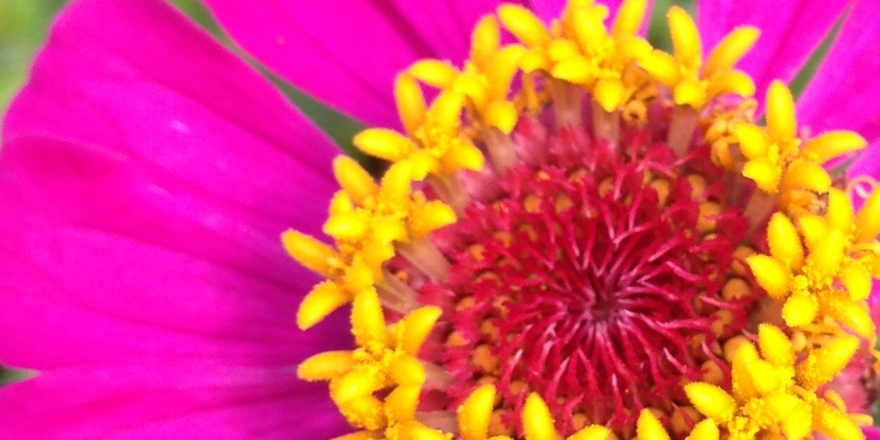 DeborahBrill's profile banner image
