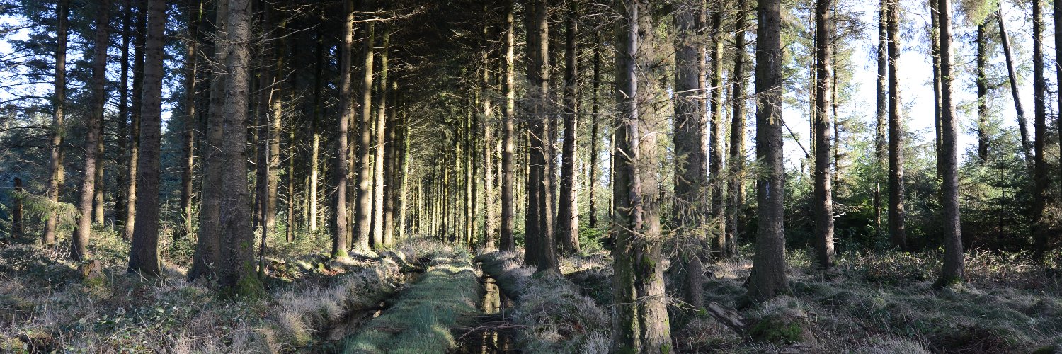 Rob Cullen #Immigrantsson banner