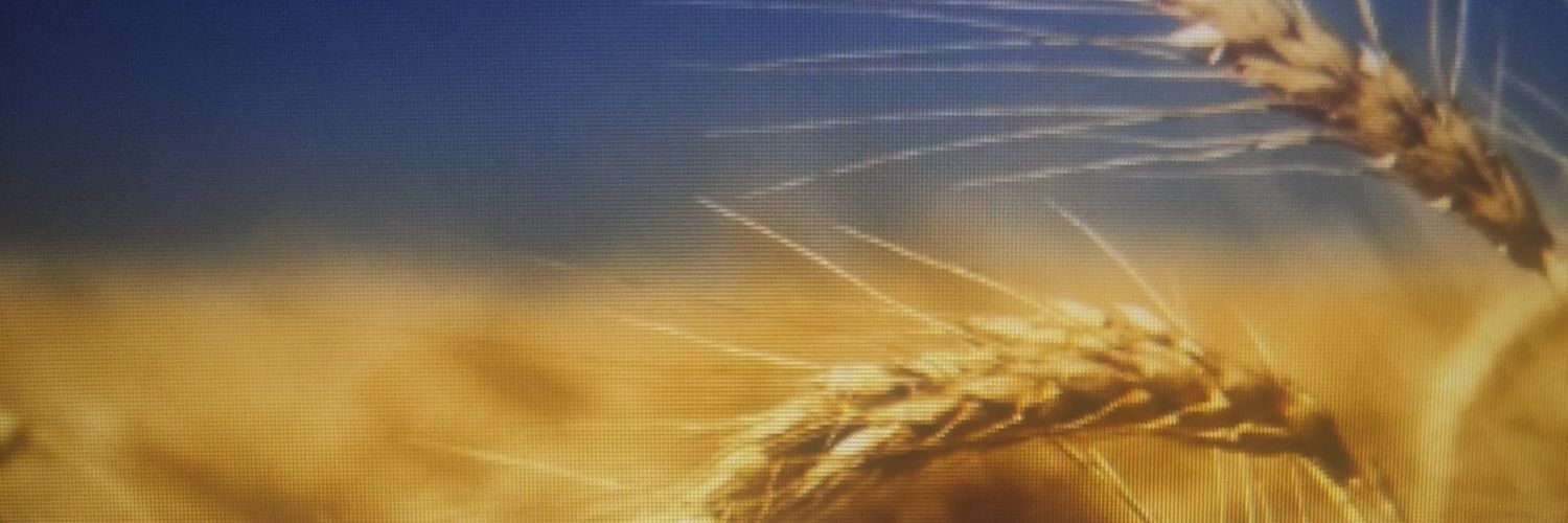 TomLedvina4's profile banner image