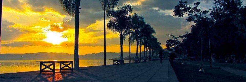BetoAlcantar's profile banner image