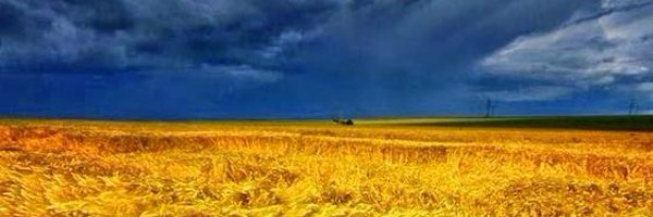 FMcfunface Profile Banner