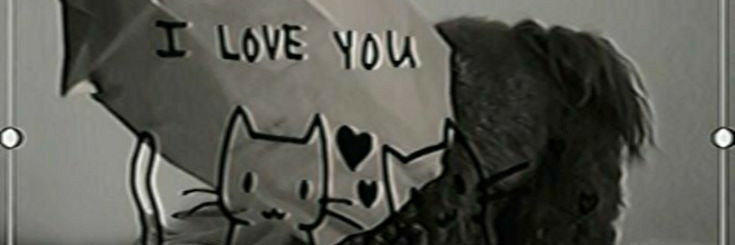 vall🎀 banner