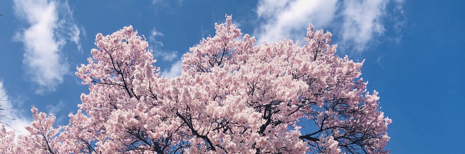 K_aya_6's profile banner image