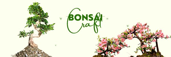 BonsaiCraft Profile Banner