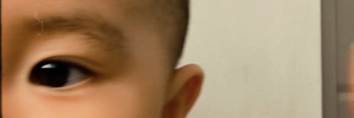 theapeleo's profile banner image