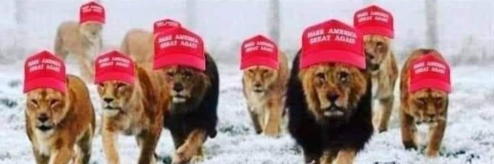 DJ~I STAND W/DJT 🇺🇲 🦅 🐸 🤌 banner