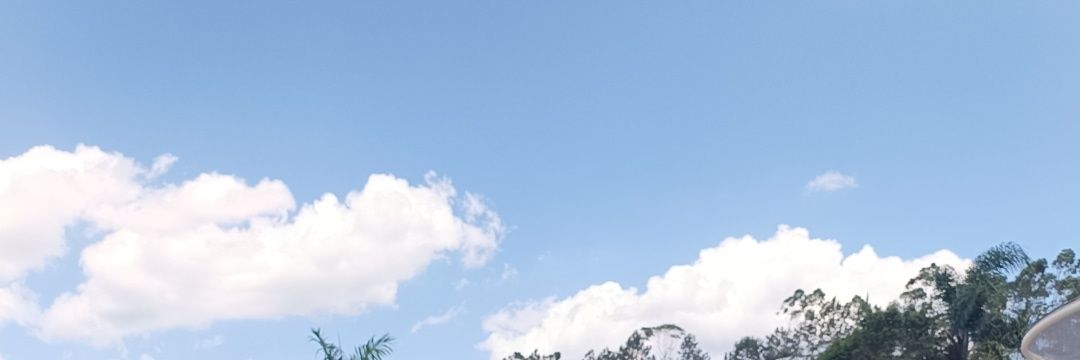 Kelvin's banner