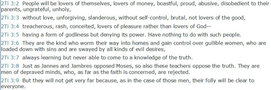 The Rooster 🐓 banner