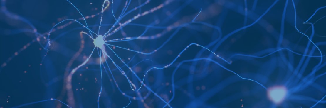 VAI Department of Neurodegenerative Science's banner