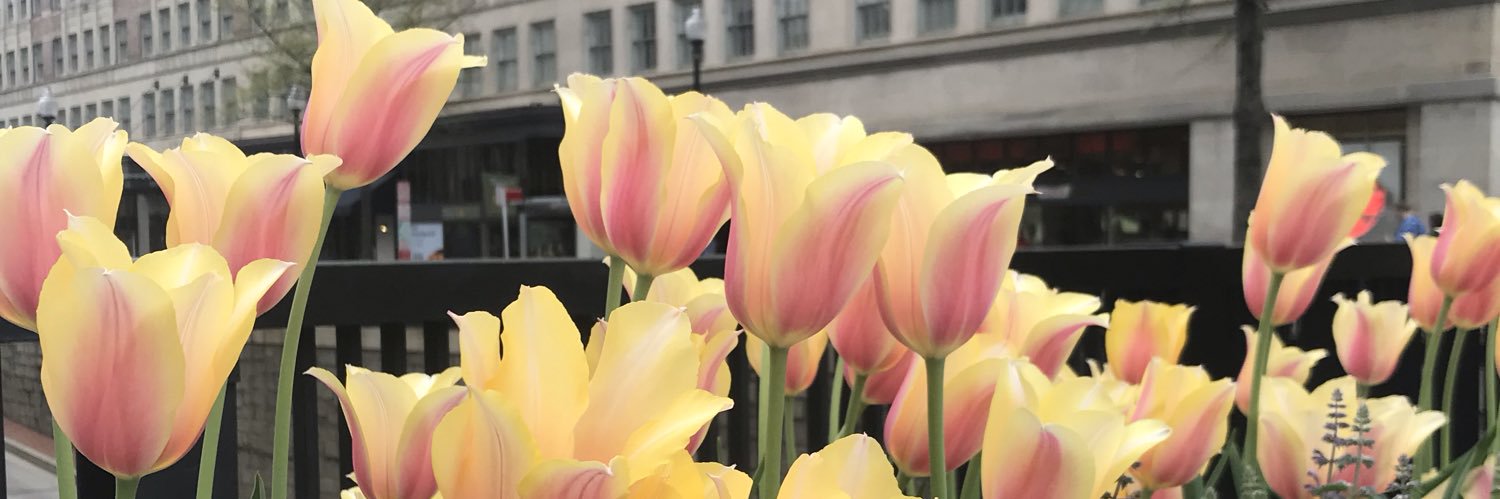 Liz_1594's profile banner image