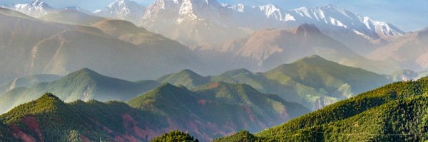 DualPower4 Profile Banner