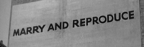 Jeffrey Evenmo ━╋ banner