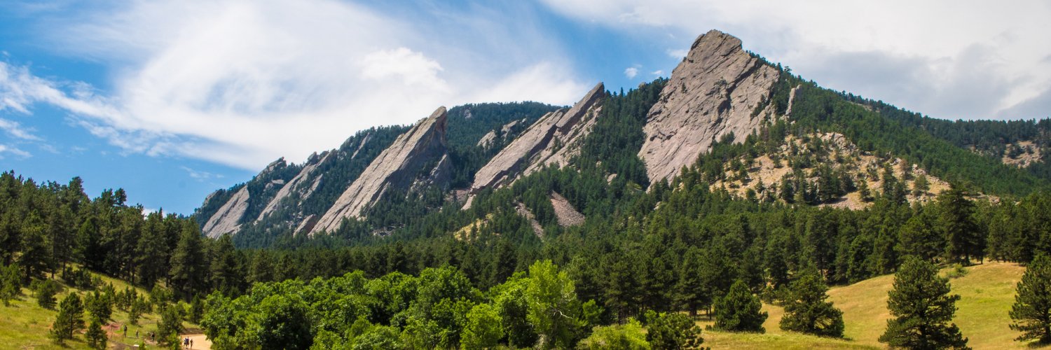 Rook Real Estate banner