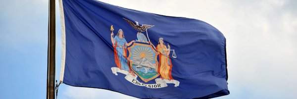 NewYorkStateIG Profile Banner