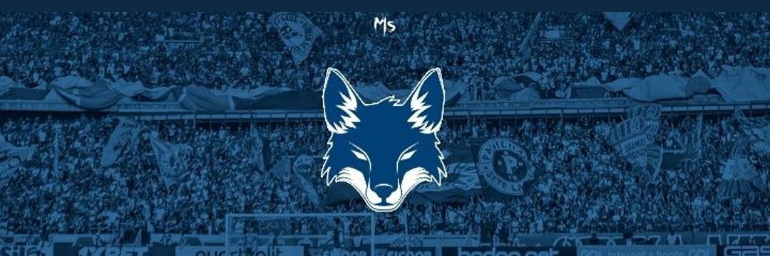 Wellfox82's profile banner image