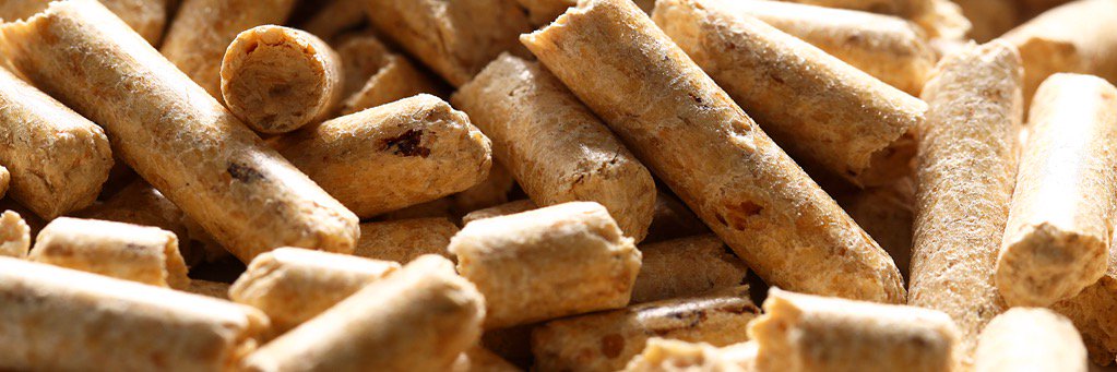 propellets_AUT's profile banner image