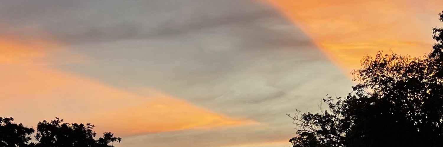 deemonsmal's profile banner image