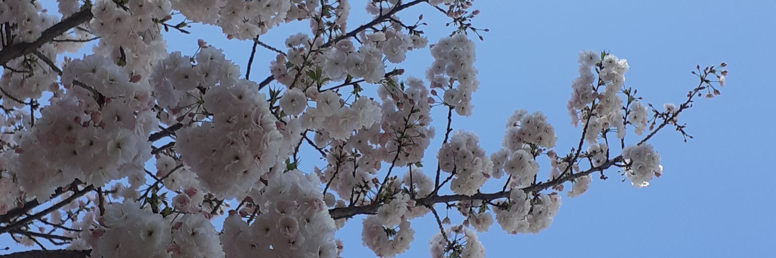 Aude MOLIN-CHUZEVILLE banner