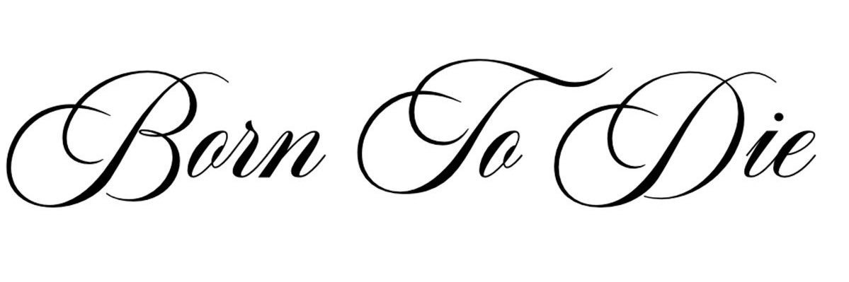 🍒 banner