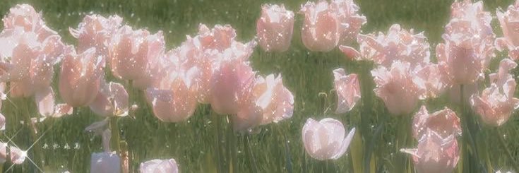 angelbarbie banner