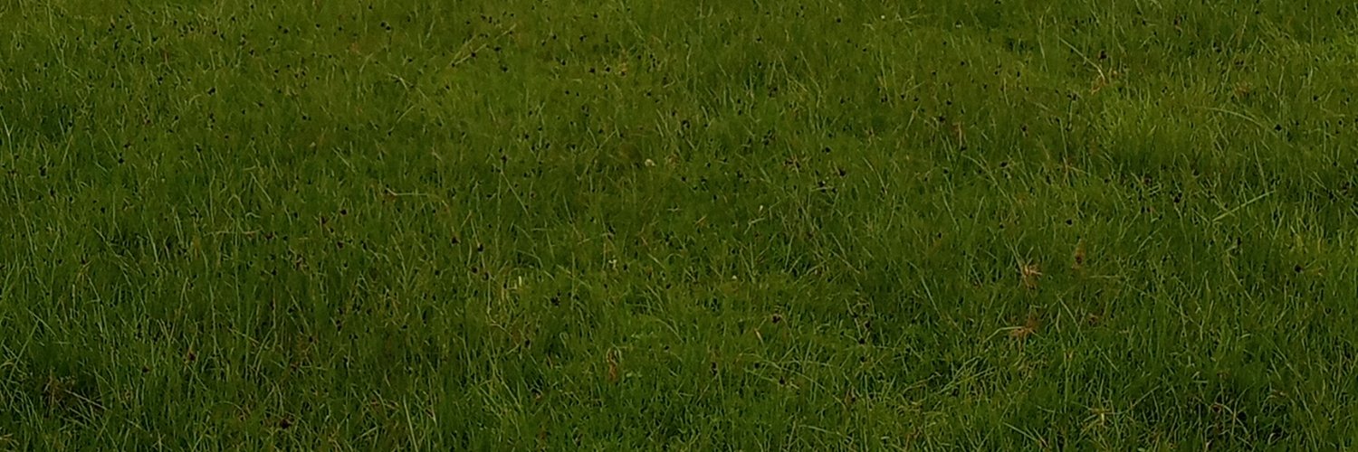 MiltonKiplimo's profile banner image