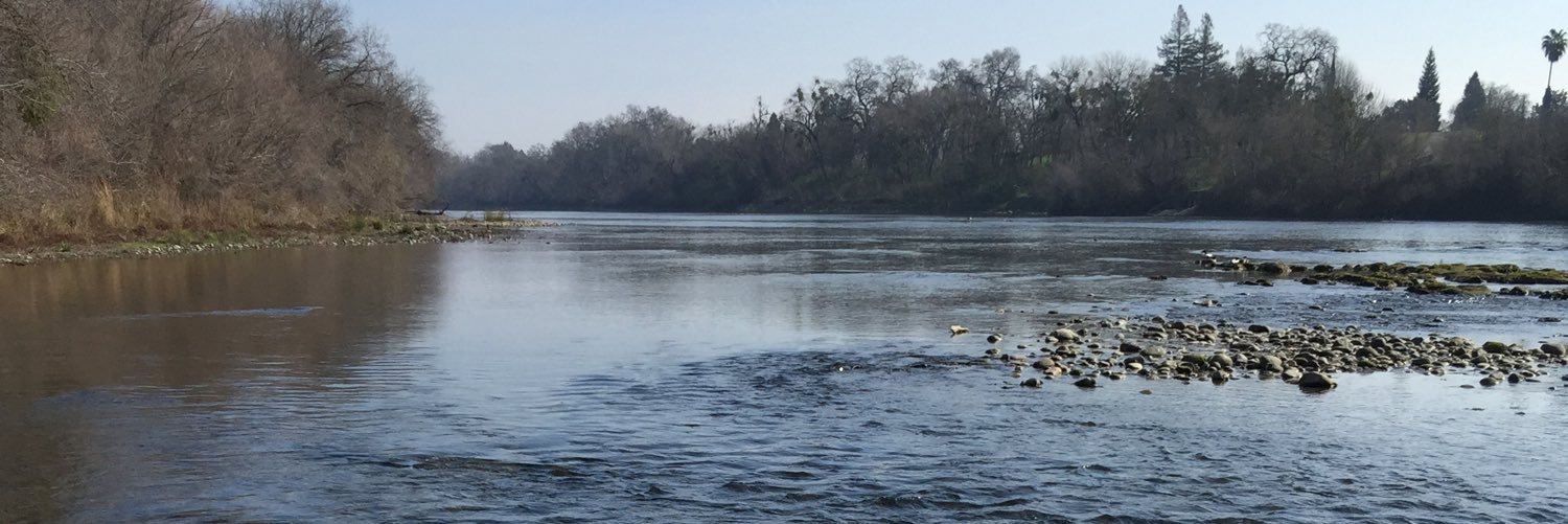 Whiting's profile banner image