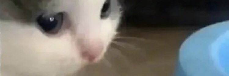 ilysora_'s profile banner image