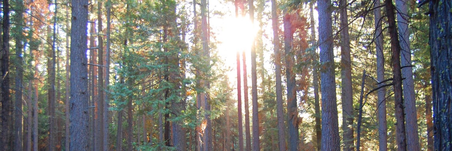 rooneycj's profile banner image