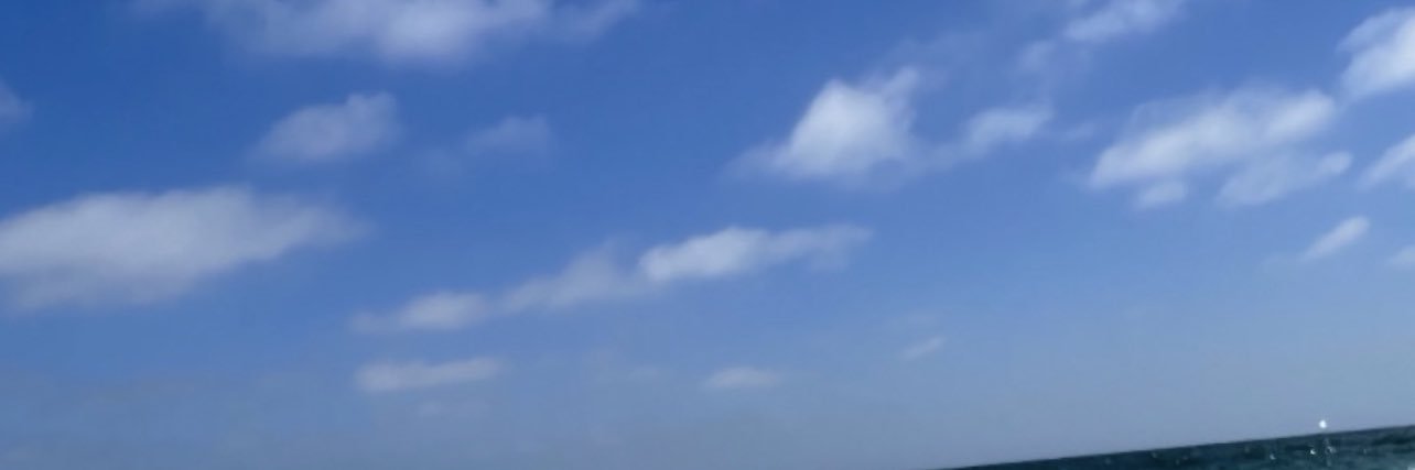 BiSocalBro's profile banner image